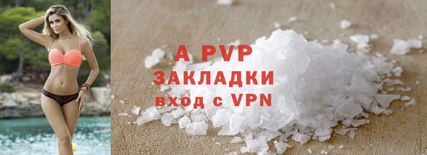 прущие крисы Кодинск