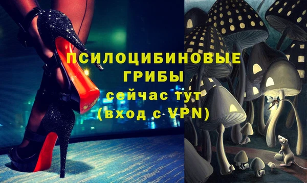 соль курить ск Козловка