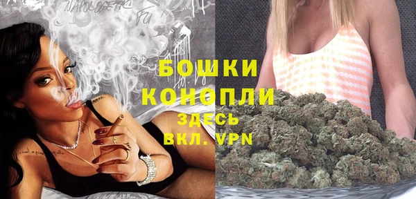 прущие крисы Козельск