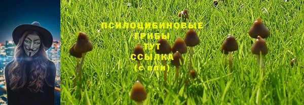 соль курить ск Козловка