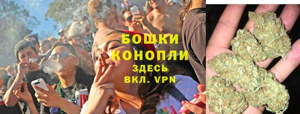 прущие крисы Козельск