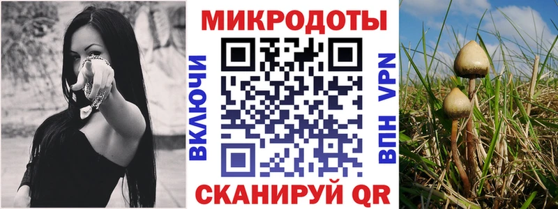 Галлюциногенные грибы Psilocybe  Могоча 